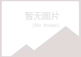 青岛崂山敷衍美容有限公司